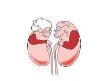 请好好对待咱们的“肾”老板