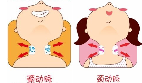 贴退热贴4.png
