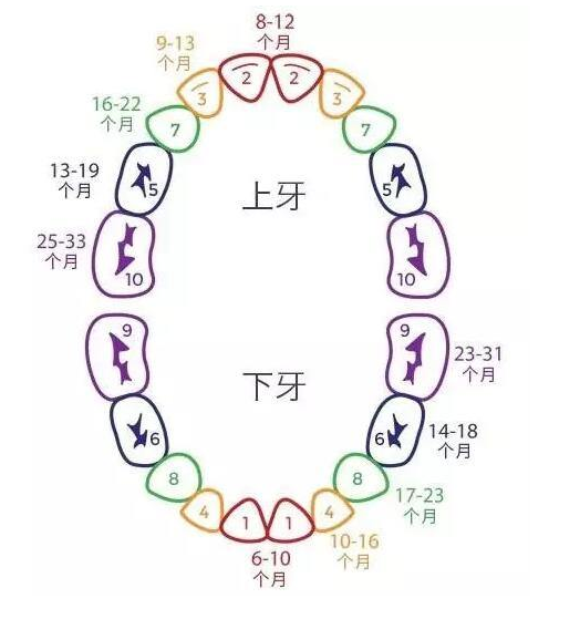 宝宝长​牙的小知识，很多妈妈都不知道！