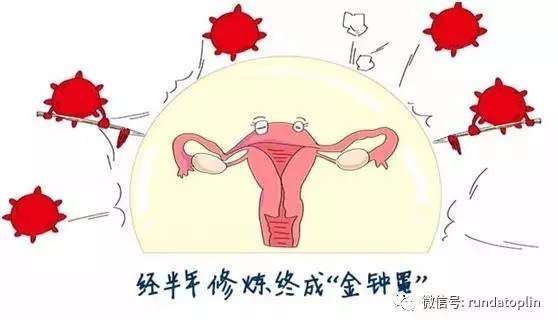 HPV.jpg
