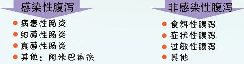 腹泻2.png