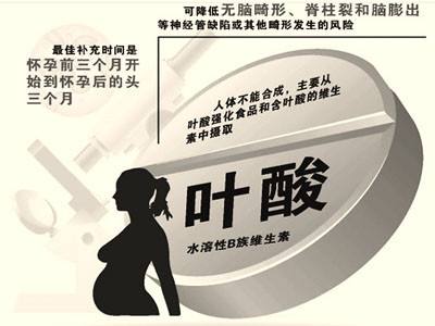 叶酸.jpg