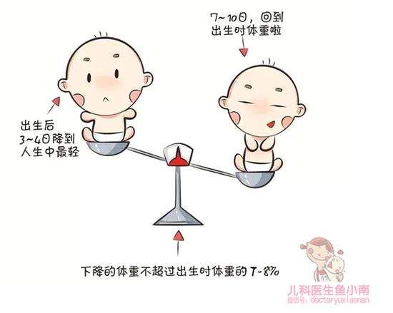生理性体重下降.jpg