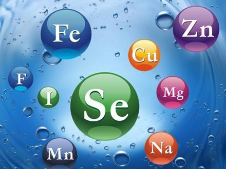 准妈妈需要补充哪些微量元素